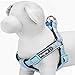 Blueberry Pet Step-in Harnesses 3M Reflective 5/8