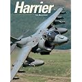 Harrier