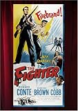 Fighter