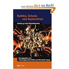 Bubbles, Schocks und Asymmetrien: Ans�tze zu einer Krisen�konomik