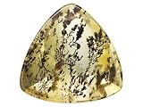 12X12MM TRILLION BUFF TOP DENDRITIC QUARTZ