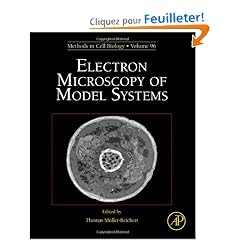 Electron Microscopy of Model Systems