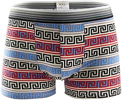 Flae Hot Cool Men Briefs Underwear Sexy Calzoncillos Hombre Slips Ropa Interior Homme Underwear Men Male Underpant