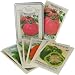 Farmers' Market Vegetables Postcards Cavallini Carte Postale Tin of 18 postcards (9 different designs), One