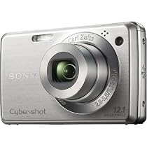 Sony Cybershot DSC-W220 12.1MP Digital Camera with 4x Optical Zoom with Super Steady Shot Image Stabilization (Silver)