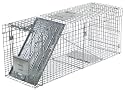 Havahart 1089 Collapsible One-Door Live Animal Cage Trap for Raccoon, Stray Cat, Groundhog, Opossum, and Armadillos