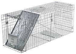 Havahart 1089  Collapsible One-Door Live Animal Cage Trap for Raccoon, Stray Cat,  Groundhog, Opossum, and Armadillos