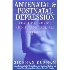Antenatal And Postnatal Depression: Practical Advice and Support for All Sufferers