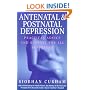 Antenatal and Postnatal Depression: Practical Advice and Support for All Sufferers