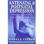 Antenatal and Postnatal Depression: Practical Advice and Support for All Sufferers