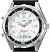 Casio Men's Analog Digital Diver Watch Model AMW-320R-7E