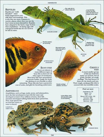 Cover image : Animal Encyclopedia