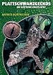 Plattschwanzgeckos: Uroplatus