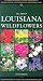All about Louisiana Wildflowers