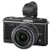 Olympus E-P2 Compact System Camera (14-42mm lens & VF-2 electronic viewfinder)