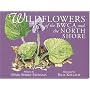 Wildflowers of the BWCA and the North Shore (North Woods Naturalist Guides)