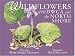 Book Wildflowers of the BWCA and the North Shore (North Woods Naturalist Guides)