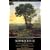 The Complete Greek Tragedies: Sophocles Vol II