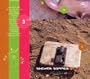 Bullish, Bellyache & Belch - 3 CD Set