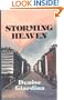 Storming Heaven: A Novel (Thorndike Press Large Print Basic Series)