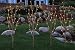 Lighted Christmas Twig Tree Set