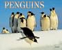 Penguins 2005 Calendar