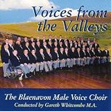 Voices from the Valleys