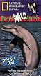 National Geographic's Really Wild Animals: Deep Sea Dive [VHS]