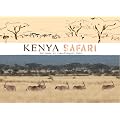 Kenya  Safari Mode d'Emploi