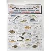 Tight lines Saltwater Fish Chart #5