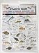 Tight lines Saltwater Fish Chart #5