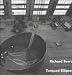 Richard Serra: Torqued Ellipses by Lynne Cooke ISBN 0944521355