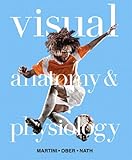 Visual anatomy & physiology