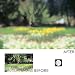 Cokin P093 Filter, P, Dreams 3