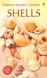 Books : Shells (Usborne Spotter's Guide)