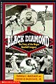 Black Diamond: The Story of the Negro Baseball Leagues