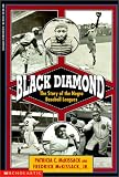 Black Diamond: The Story of the Negro Baseball Leagues