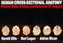 Human Cross-Sectional Anatomy: Pocket Atlas of Body Sections and CT Images
