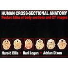 Human Cross-Sectional Anatomy: Pocket Atlas of Body Sections and CT Images by  Harold Ellis, Bari Logan, and Adrian Dixon