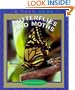 Butterflies and Moths (True Books: Animals)