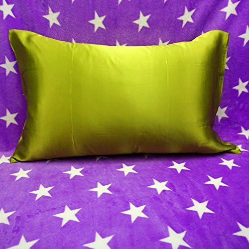 Soft Silker 100% Pure Silk Pillowcase Facial Beauty,Queen,Grass Green