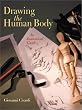 Drawing the Human Body: An Anatomical Guide