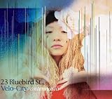 23 Bluebird Street,Velo-City