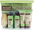 Ecotools Green, Clean, Go Travel Set