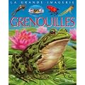 Les grenouilles
