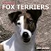 Fox Terriers, Smooth 2004 Calendar