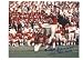 Gino Cappelletti Autographed/Hand Signed New England Patriots 8x10 Photo
