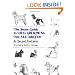 The Stone Guide to Dog Grooming for All Breeds