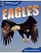 Animal Lives: Eagles