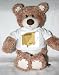 Teddy Bear with bees, animals, cross section, insect, pollination, beehive, pollinator, cutaway, bikupa, hive t-shirt